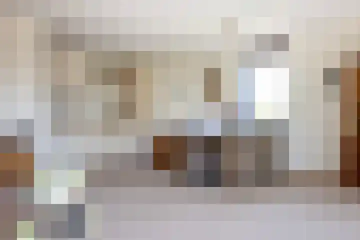 Keizersmantel 345 Sneek thumbnail 12