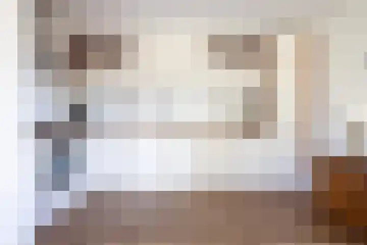 Keizersmantel 345 Sneek thumbnail 16