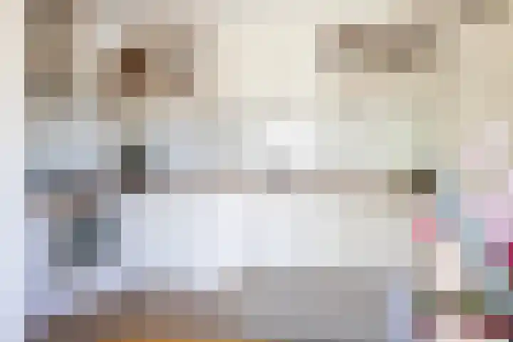 Keizersmantel 345 Sneek thumbnail 17