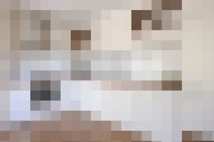Keizersmantel 345 Sneek thumbnail 18