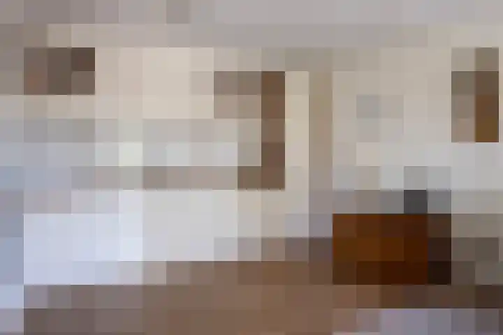 Keizersmantel 345 Sneek thumbnail 19