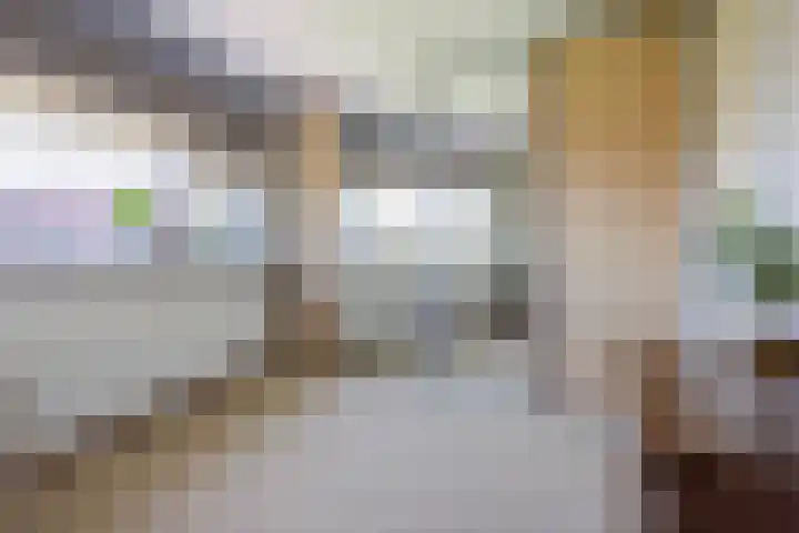 Keizersmantel 345 Sneek thumbnail 32