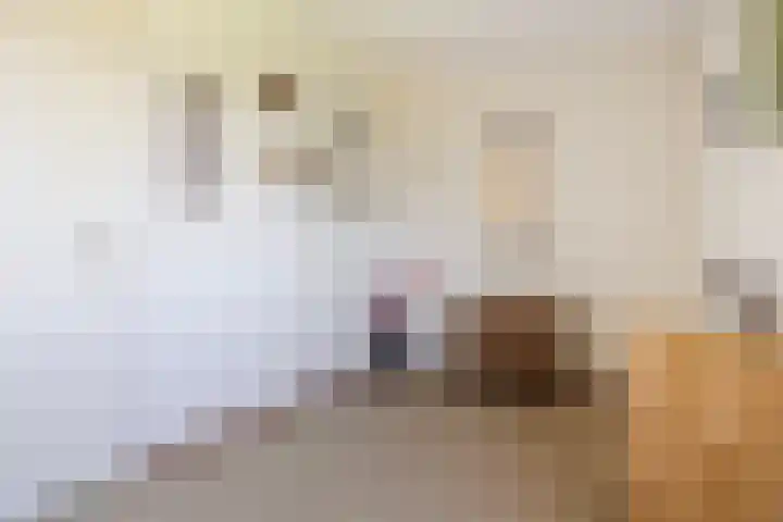Keizersmantel 345 Sneek thumbnail 33