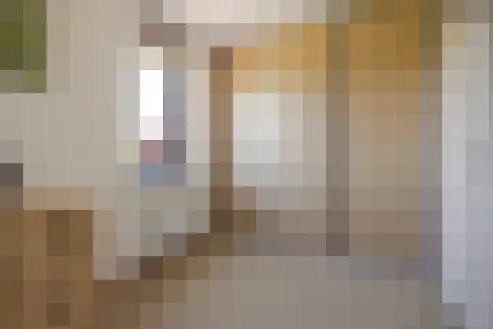 Keizersmantel 345 Sneek thumbnail 34