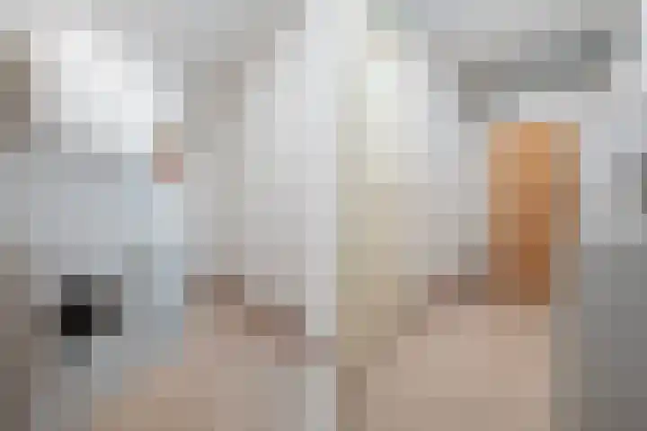 Keizersmantel 345 Sneek thumbnail 35