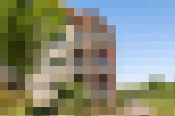 Keizersmantel 345 Sneek thumbnail 38
