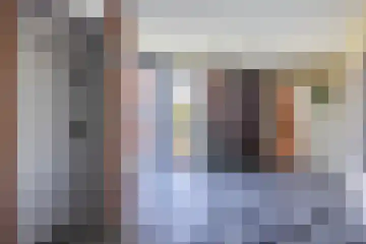 Keizersmantel 345 Sneek thumbnail 42
