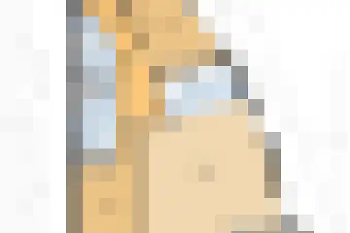 Keizersmantel 345 Sneek thumbnail 44