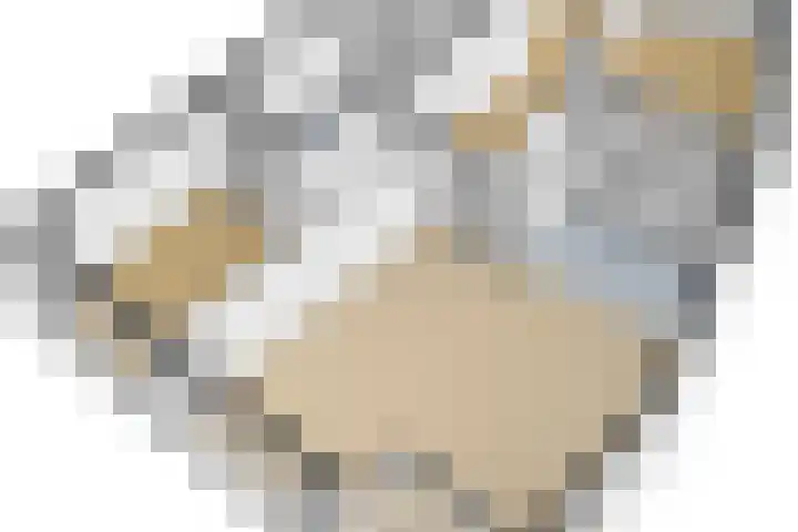 Keizersmantel 345 Sneek thumbnail 47