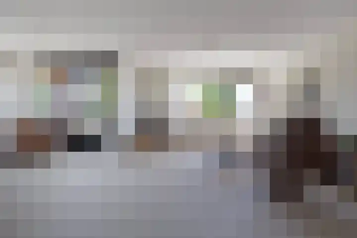 Keizersmantel 345 Sneek thumbnail 8