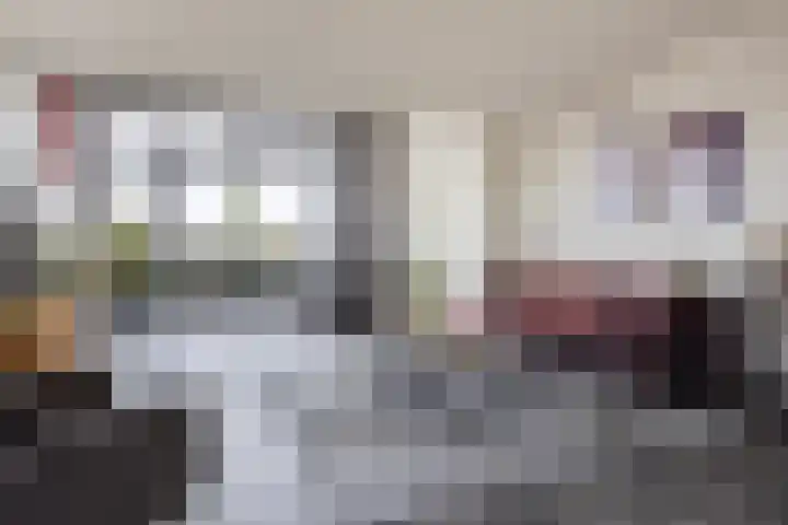 Keizersmantel 355 Sneek thumbnail 10