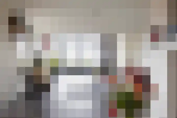 Keizersmantel 355 Sneek thumbnail 11