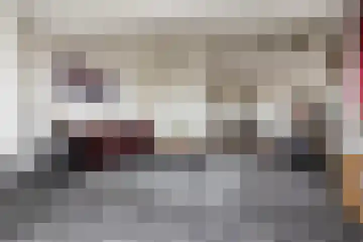 Keizersmantel 355 Sneek thumbnail 12