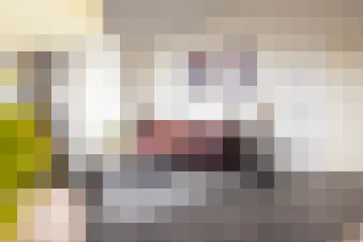 Keizersmantel 355 Sneek thumbnail 13