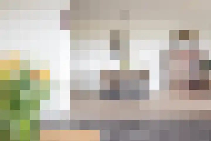 Keizersmantel 355 Sneek thumbnail 14
