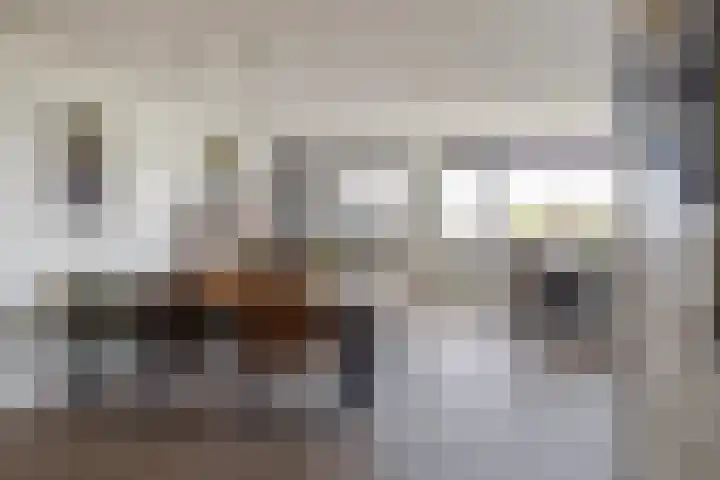 Keizersmantel 355 Sneek thumbnail 17
