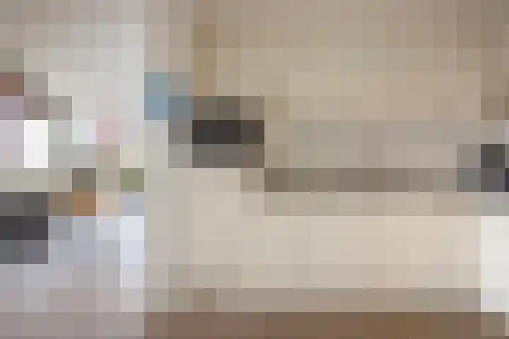 Keizersmantel 355 Sneek thumbnail 18