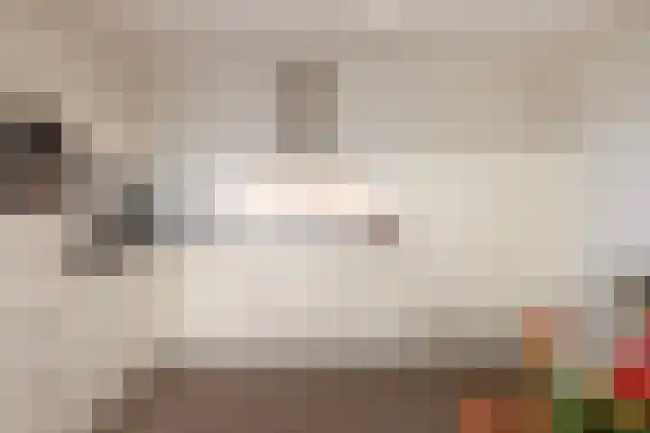 Keizersmantel 355 Sneek thumbnail 19