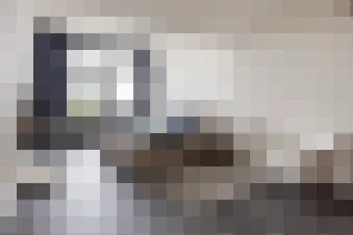 Keizersmantel 355 Sneek thumbnail 20