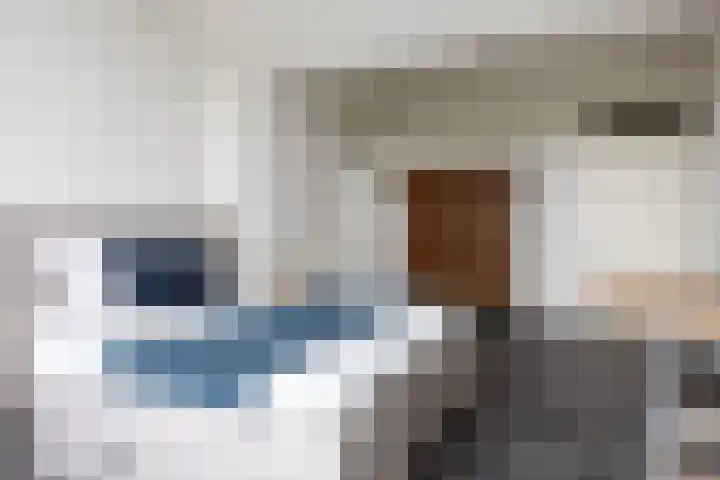 Keizersmantel 355 Sneek thumbnail 21