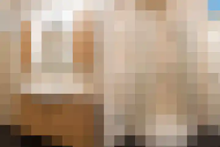 Keizersmantel 355 Sneek thumbnail 24