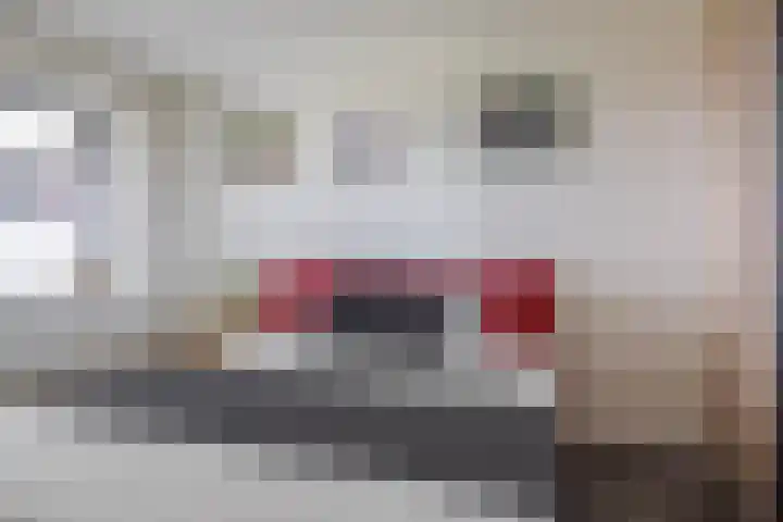 Keizersmantel 355 Sneek thumbnail 25