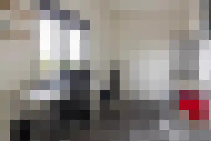 Keizersmantel 355 Sneek thumbnail 27