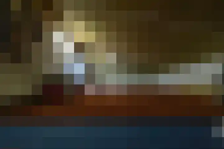 Keizersmantel 355 Sneek thumbnail 29