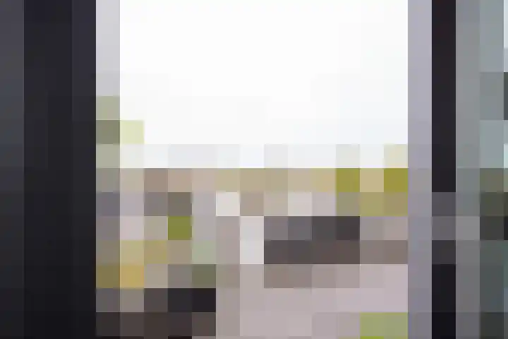 Keizersmantel 355 Sneek thumbnail 31
