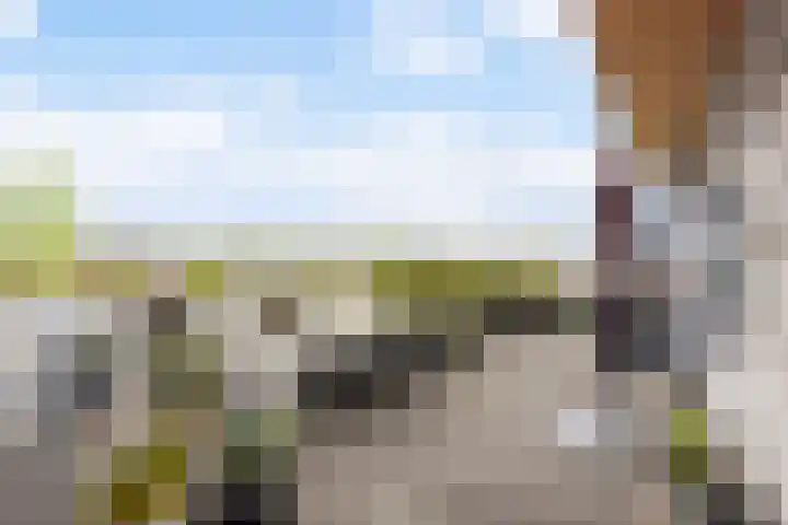 Keizersmantel 355 Sneek thumbnail 32