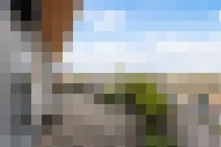 Keizersmantel 355 Sneek thumbnail 33
