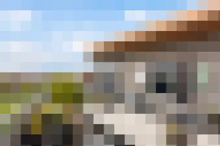 Keizersmantel 355 Sneek thumbnail 34