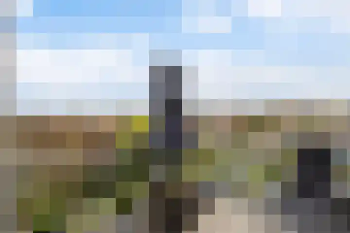 Keizersmantel 355 Sneek thumbnail 36