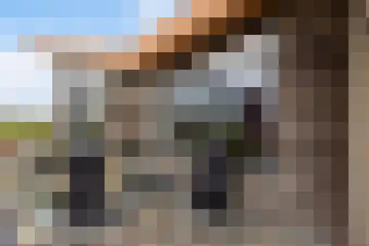Keizersmantel 355 Sneek thumbnail 37