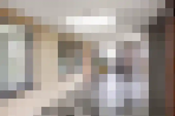 Keizersmantel 355 Sneek thumbnail 41