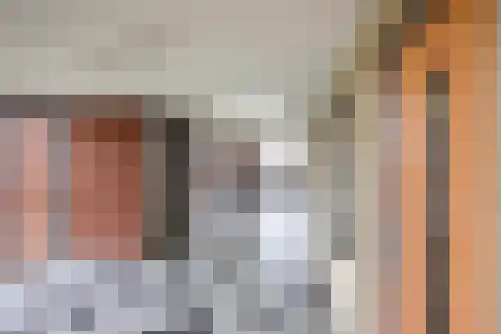 Keizersmantel 355 Sneek thumbnail 42