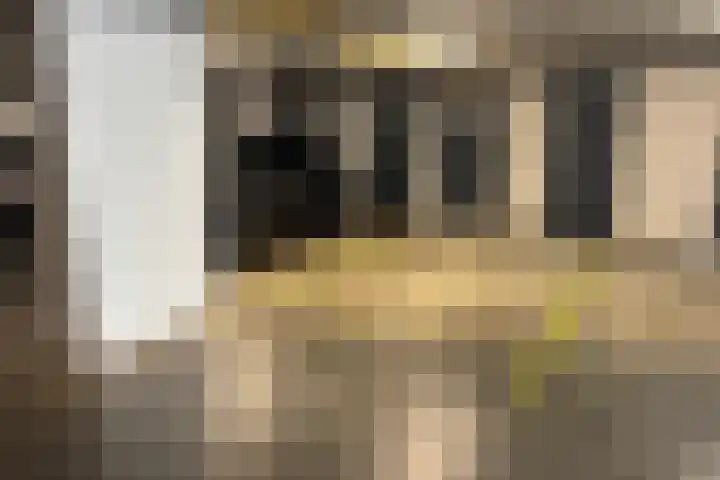 Keizersmantel 355 Sneek thumbnail 44