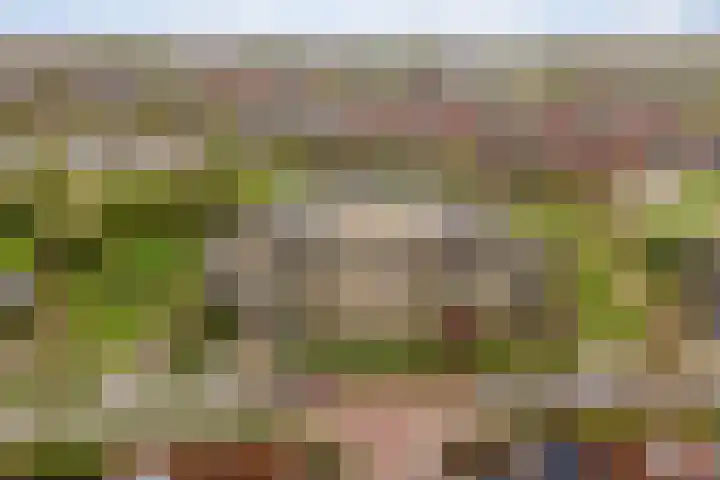 Keizersmantel 355 Sneek thumbnail 47