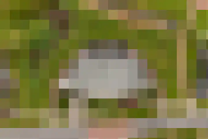 Keizersmantel 355 Sneek thumbnail 48