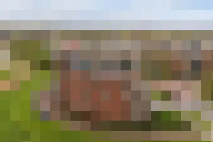 Keizersmantel 355 Sneek thumbnail 49