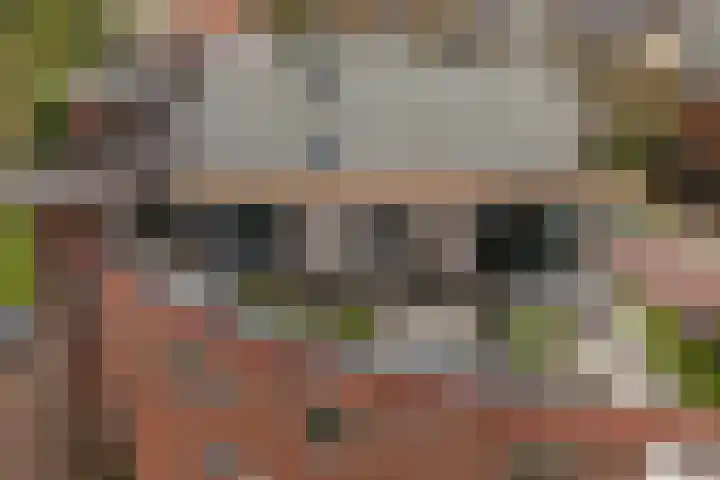 Keizersmantel 355 Sneek thumbnail 50