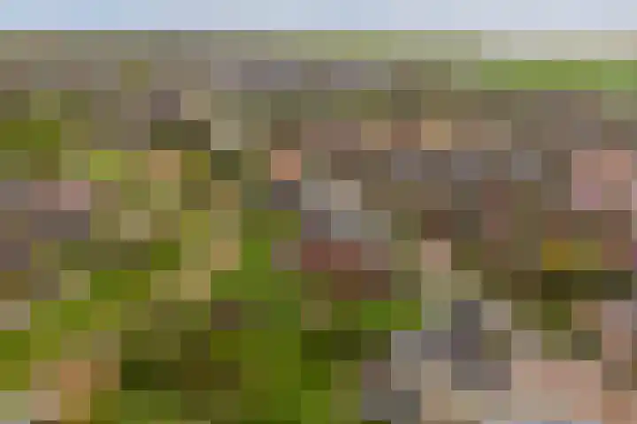 Keizersmantel 355 Sneek thumbnail 51