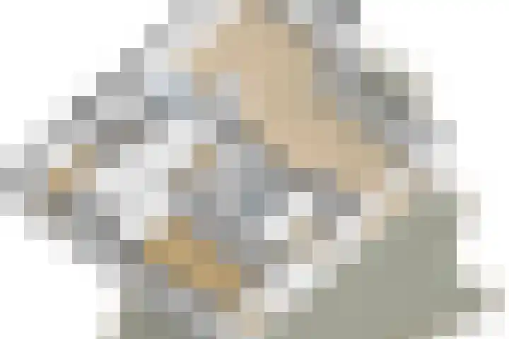 Keizersmantel 355 Sneek thumbnail 56