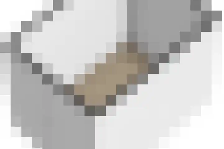Keizersmantel 355 Sneek thumbnail 58