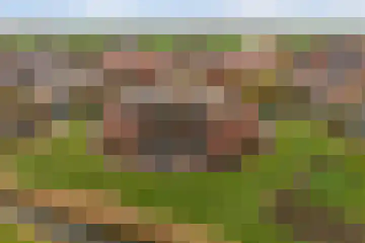 Keizersmantel 355 Sneek thumbnail 60