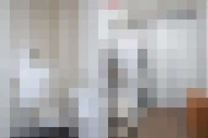 Keizersmantel 355 Sneek thumbnail 8
