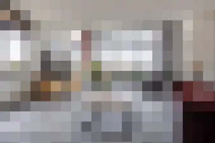 Keizersmantel 355 Sneek thumbnail 9