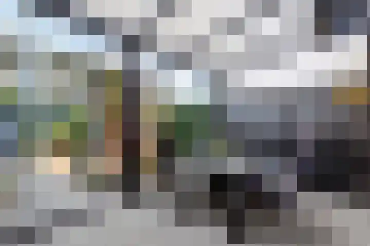 Keizersmantel 39 Hoogeveen thumbnail 25
