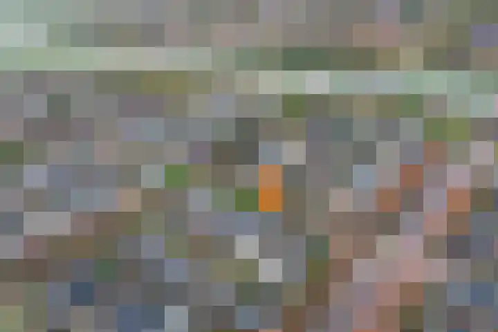 Keizersmantel 39 Hoogeveen thumbnail 33