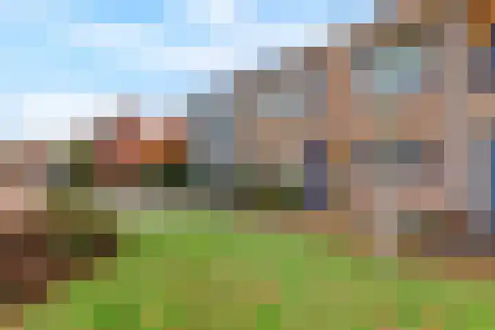 Keizersmantel 39 Hoogeveen thumbnail 5